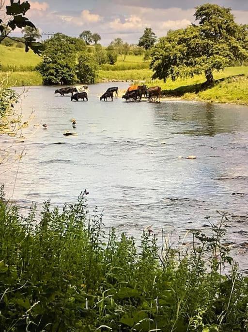Beautiful Self-catering Cottages, Ribble Valley Вэст Брэдфорд